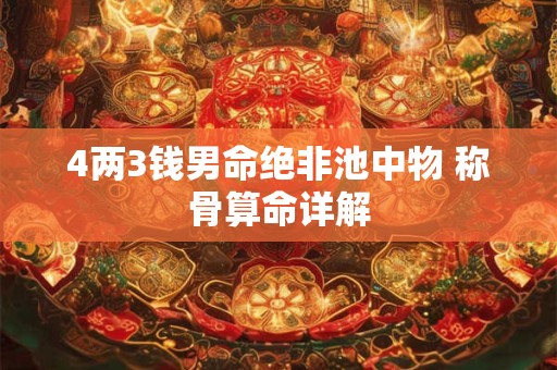 4两3钱男命绝非池中物 称骨算命详解