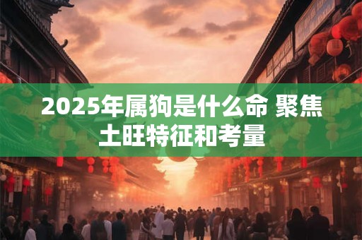 2025年属狗是什么命 聚焦土旺特征和考量