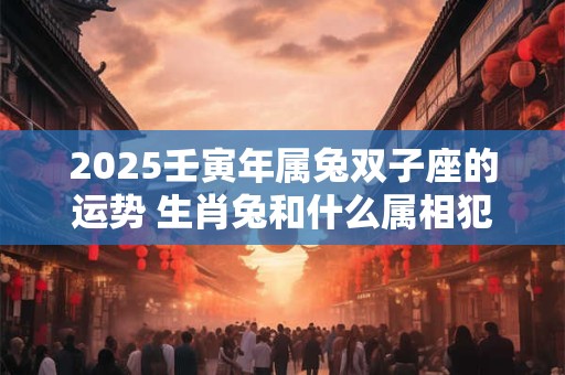 2025壬寅年属兔双子座的运势 生肖兔和什么属相犯冲 2025壬寅年属兔双子座的运势 生肖兔和什么属相犯冲
