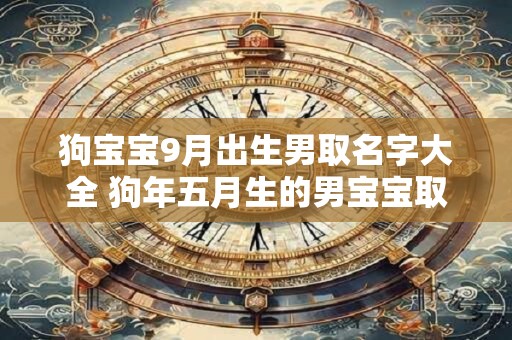 狗宝宝9月出生男取名字大全 狗年五月生的男宝宝取名