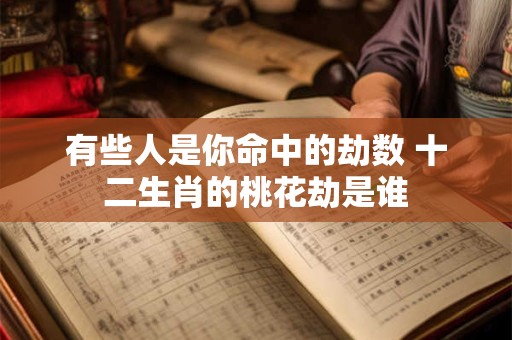 有些人是你命中的劫数 十二生肖的桃花劫是谁