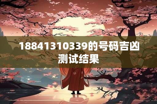 18841310339的号码吉凶测试结果