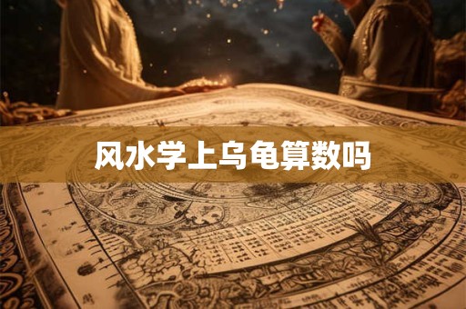 风水学上乌龟算数吗