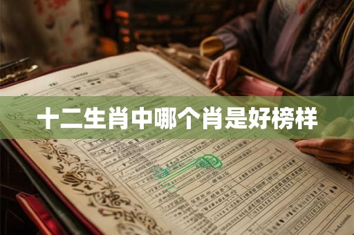 十二生肖中哪个肖是好榜样