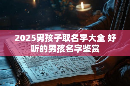 2025男孩子取名字大全 好听的男孩名字鉴赏