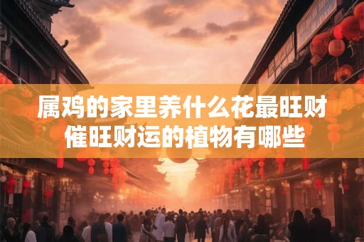 属鸡的家里养什么花最旺财 催旺财运的植物有哪些