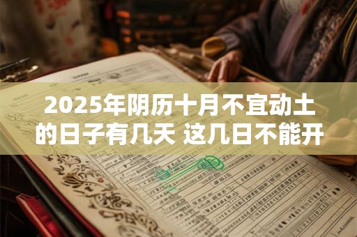2025年阴历十月不宜动土的日子有几天 这几日不能开工