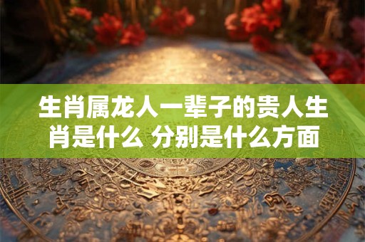 生肖属龙人一辈子的贵人生肖是什么 分别是什么方面