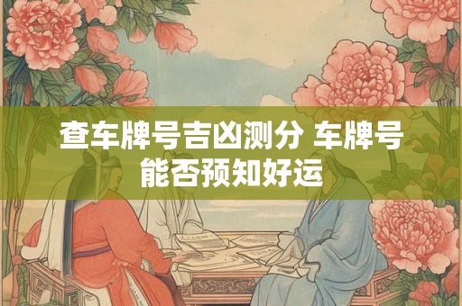 查车牌号吉凶测分 车牌号能否预知好运