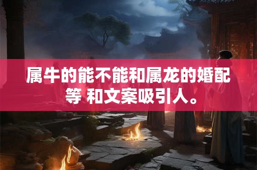 属牛的能不能和属龙的婚配 等 和文案吸引人。