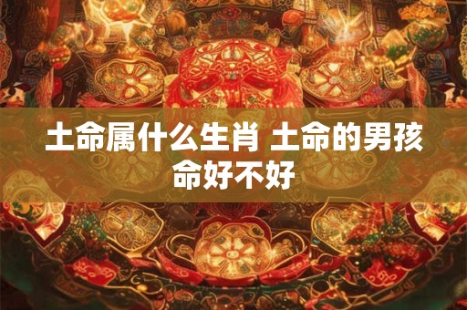 土命属什么生肖 土命的男孩命好不好