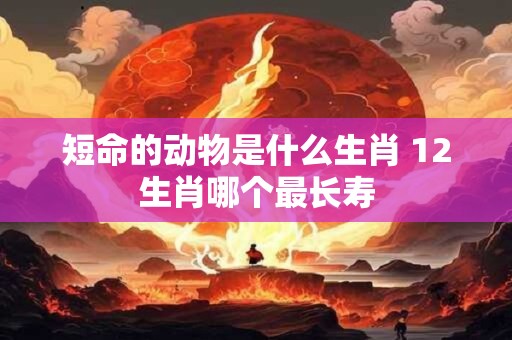短命的动物是什么生肖 12生肖哪个最长寿 短命的动物是什么生肖 12生肖哪个最长寿