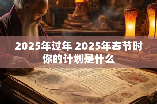 2025年过年 2025年春节时你的计划是什么