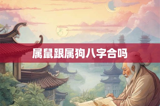 属鼠跟属狗八字合吗