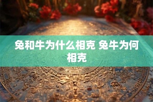 兔和牛为什么相克 兔牛为何相克