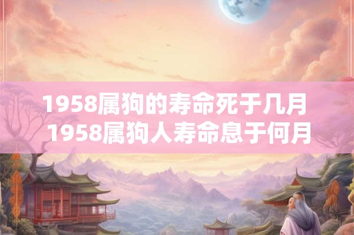 1958属狗的寿命死于几月 1958属狗人寿命息于何月