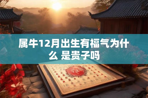 属牛12月出生有福气为什么 是贵子吗