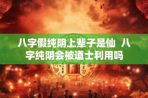 八字假纯阴上辈子是仙  八字纯阴会被道士利用吗