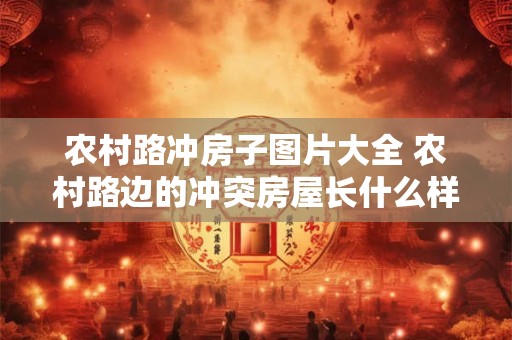 农村路冲房子图片大全 农村路边的冲突房屋长什么样