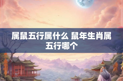 属鼠五行属什么 鼠年生肖属五行哪个