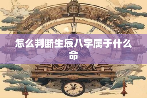 怎么判断生辰八字属于什么命