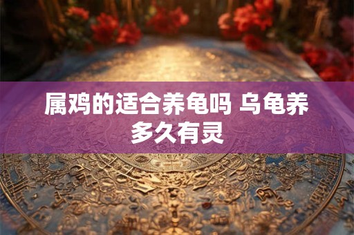 属鸡的适合养龟吗 乌龟养多久有灵