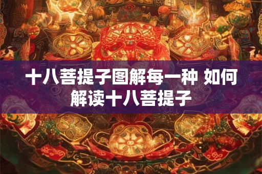 十八菩提子图解每一种 如何解读十八菩提子