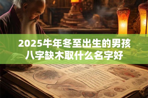 2025牛年冬至出生的男孩八字缺木取什么名字好