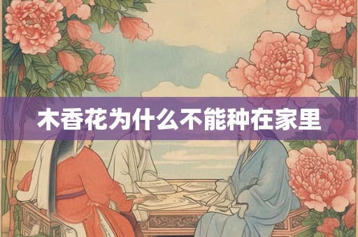 木香花为什么不能种在家里