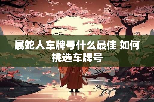 属蛇人车牌号什么最佳 如何挑选车牌号