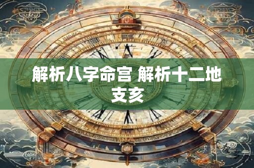 解析八字命宫 解析十二地支亥