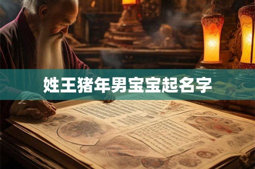 姓王猪年男宝宝起名字