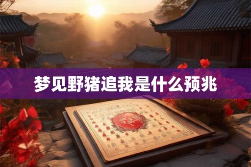 梦见野猪追我是什么预兆