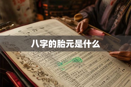 八字的胎元是什么