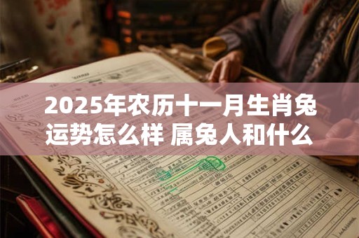 2026年农历十一月生肖兔运势怎么样 属兔人和什么属相犯冲