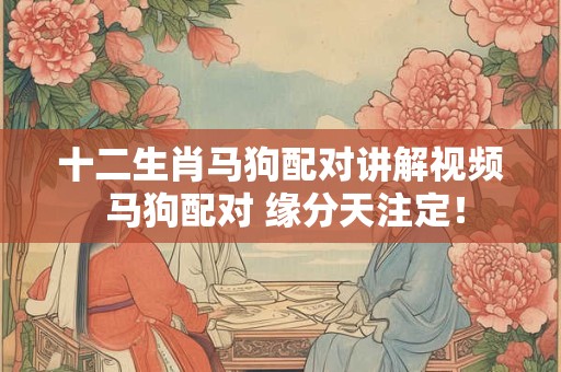 十二生肖马狗配对讲解视频 马狗配对 缘分天注定！