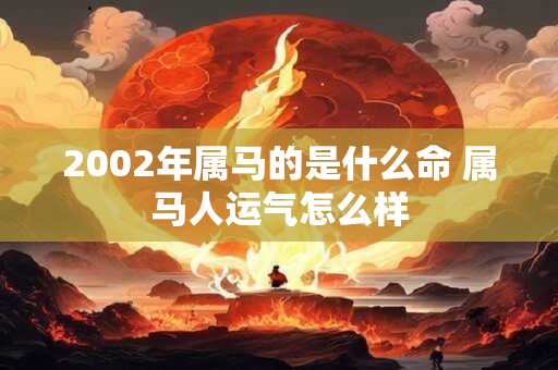 2002年属马的是什么命 属马人运气怎么样