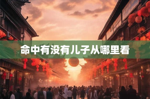 命中有没有儿子从哪里看