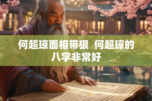 何超琼面相带狠  何超琼的八字非常好