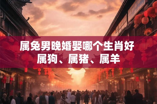 属兔男晚婚娶哪个生肖好 属狗、属猪、属羊