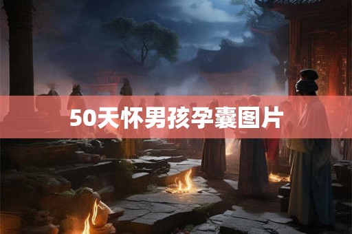 50天怀男孩孕囊图片