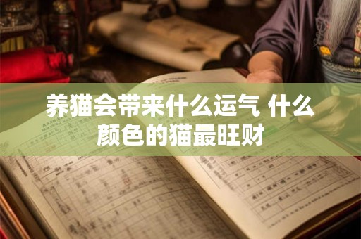 养猫会带来什么运气 什么颜色的猫最旺财