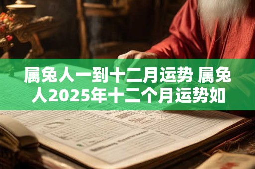 属兔人一到十二月运势 属兔人2025年十二个月运势如何