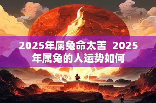 2025年属兔命太苦  2025年属兔的人运势如何