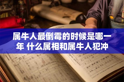 属牛人最倒霉的时候是哪一年 什么属相和属牛人犯冲