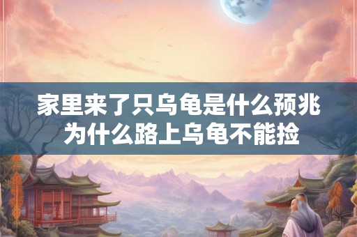 家里来了只乌龟是什么预兆 为什么路上乌龟不能捡