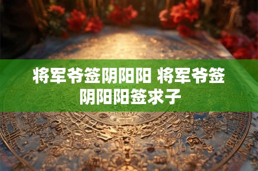 将军爷签阴阳阳 将军爷签阴阳阳签求子