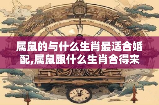属鼠的与什么生肖最适合婚配,属鼠跟什么生肖合得来