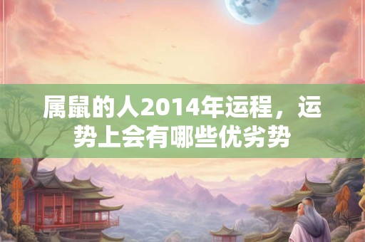 属鼠的人2014年运程，运势上会有哪些优劣势
