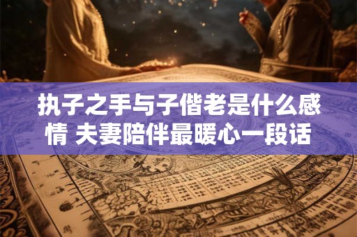 详细阅读:执子之手与子偕老是什么感情 夫妻陪伴最暖心一段话 执子之手与子偕老是什么感情 夫妻陪伴最暖心一段话